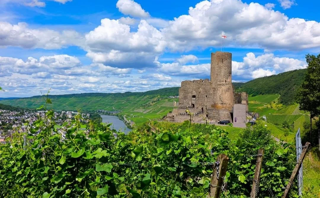 Gästehaus Barbara - Riesling, Schloss